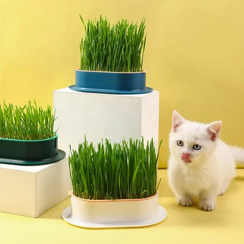 Cat Snack Cat Mint Planting Hydroponic Box Cat Grass Pot Color Contrast Hydroponic Cat Grass Box Set Catgrass Planting Bowl