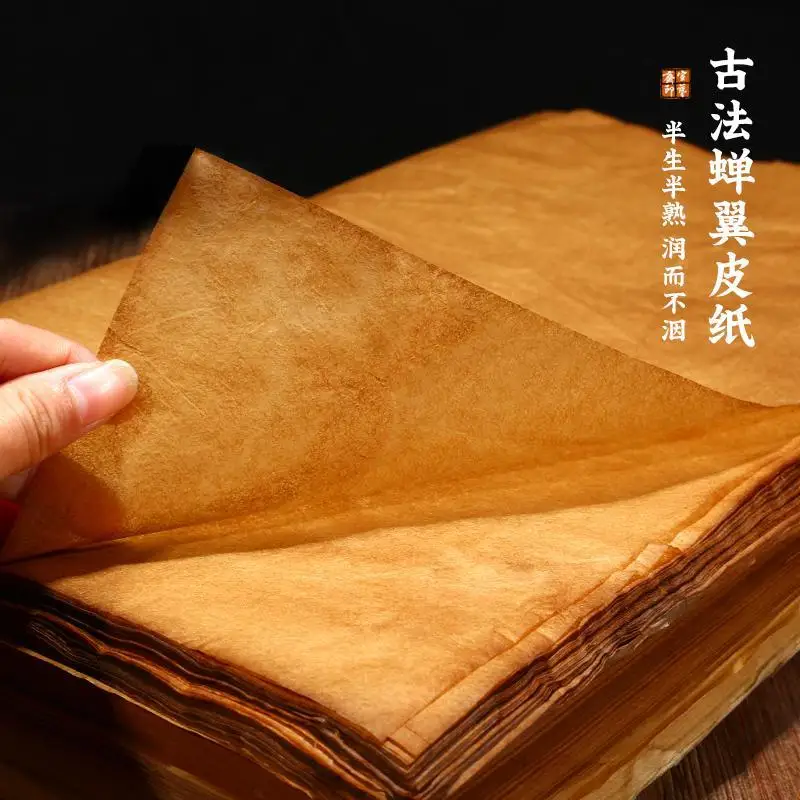 Xuanyizhai Cicada Yi Древен метод Бамбукова целулозна хартия Гъска кожа Ръчно изработени оризови хартиени растения Боядисани ретро средно зрели